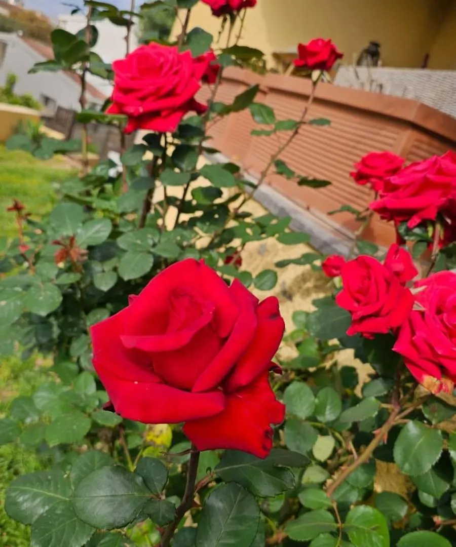 Il 10 Settembre B&B Enas Pensjonat